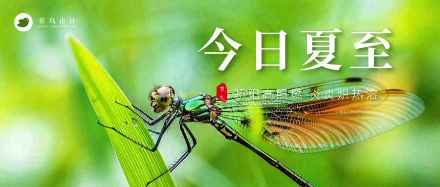 夏至公众号首图