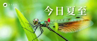 夏至公众号首图