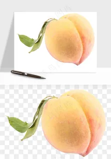 桃子油桃黄桃水果png免抠 桃子油桃黄桃水果png免抠