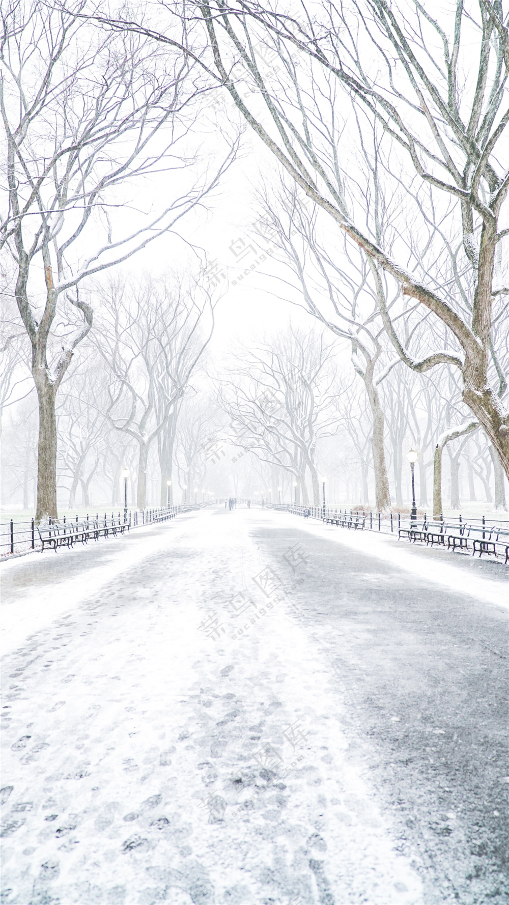 白雪皑皑的街道美景