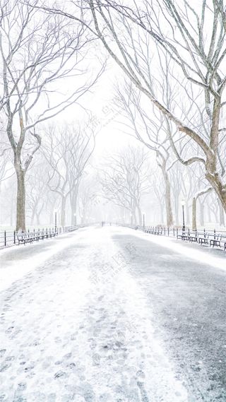 白雪皑皑的街道美景