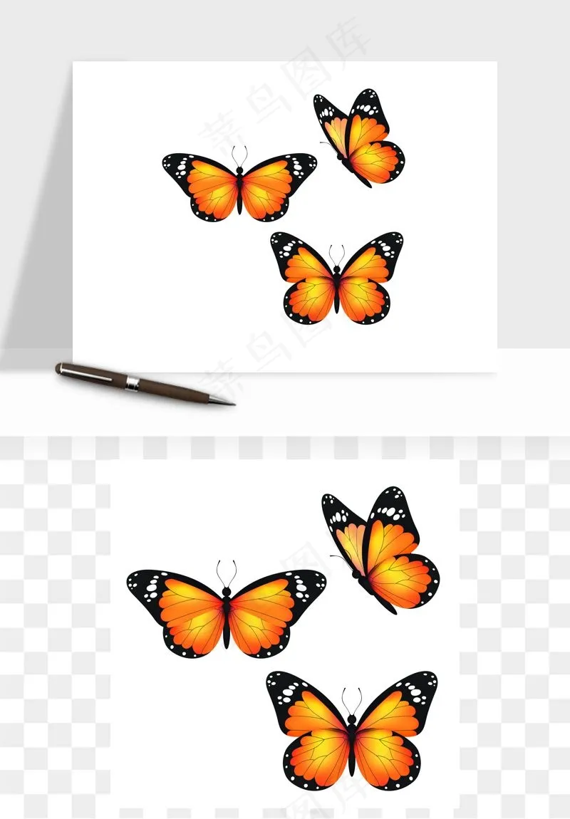 蝴蝶昆虫矢量png免抠