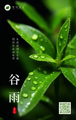 谷雨手机海报