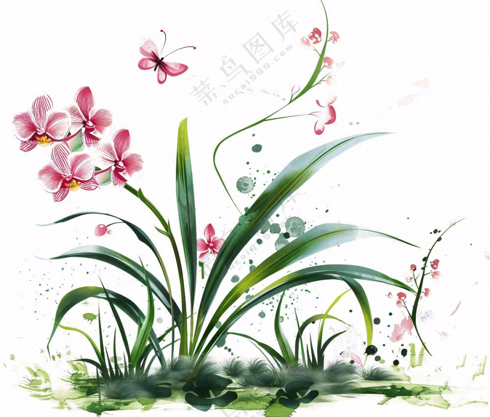 兰花粉色吊兰蝴蝶水墨画插画免抠