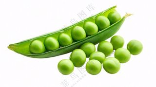 豌豆青豆蔬菜免抠