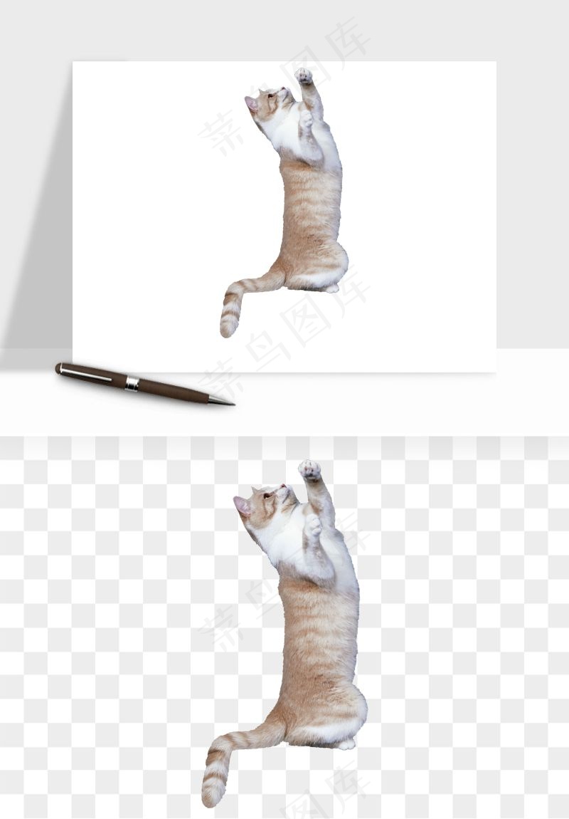 猫咪喵星人狗狗宠物元素png免抠