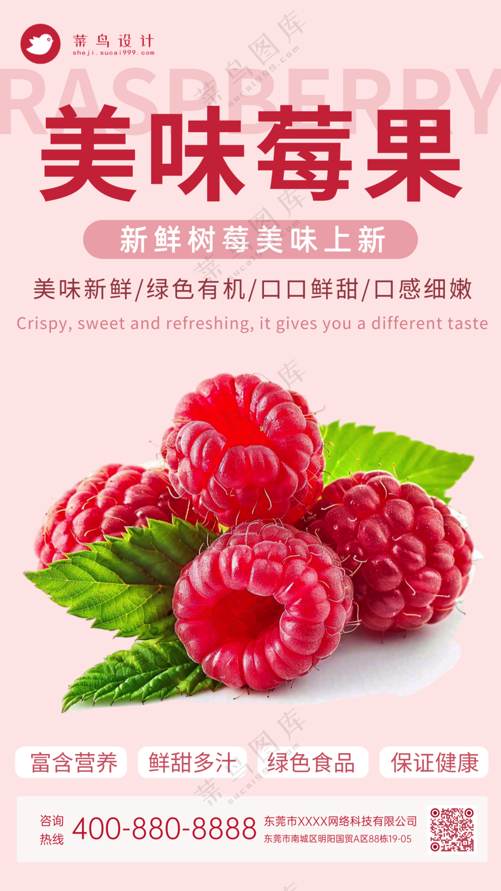 美味树莓莓果水果上新促销海报