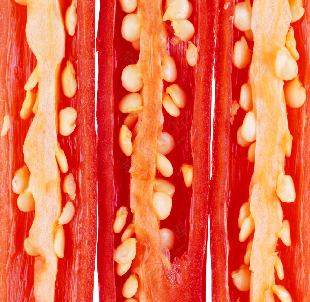 蔬菜切面图片 (15)