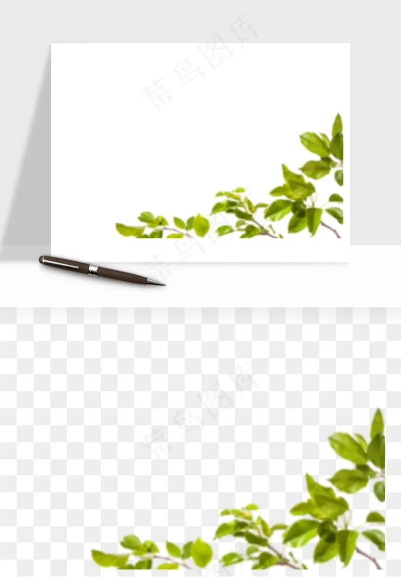 绿叶虚化前景树枝png免抠