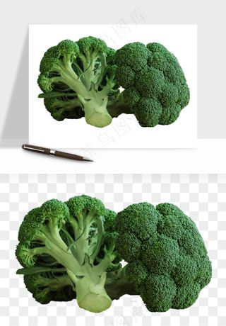 花菜椰菜花蔬菜png免抠