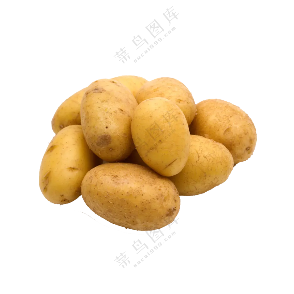 个头匀称的精选马铃薯免抠图片素材