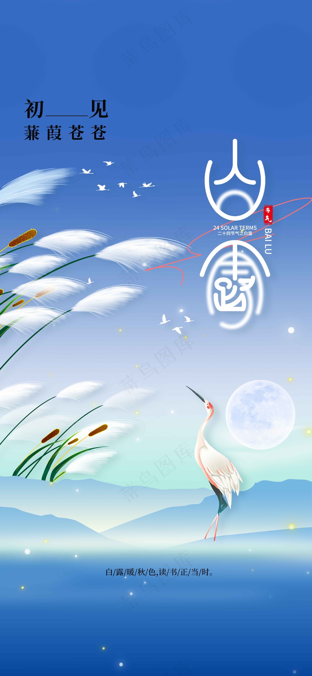 白露节气传统活动海报