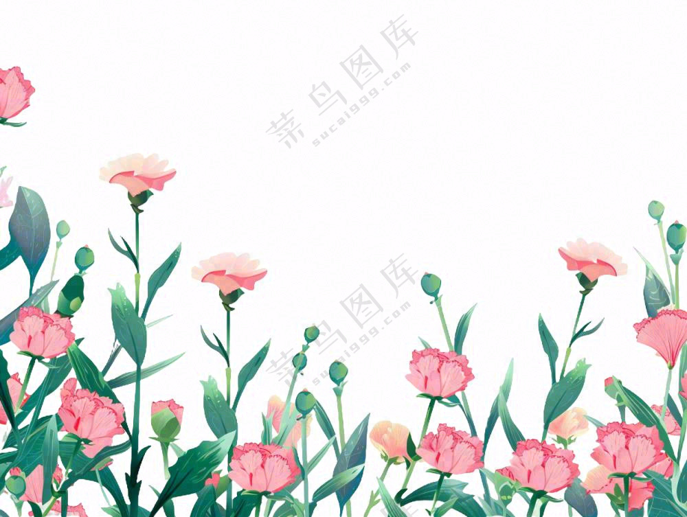 康乃馨鲜花花丛植物插画免抠