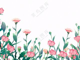 康乃馨鲜花花丛植物插画免抠