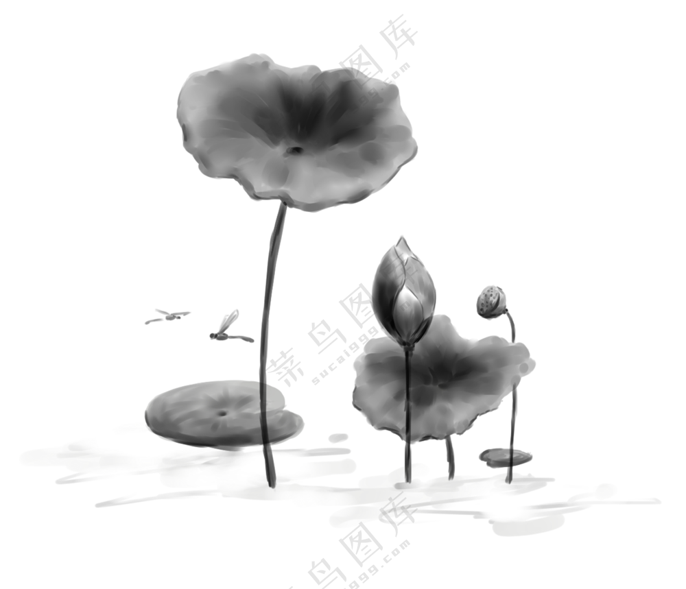 黑白绘画创意荷花植物PNG图片素材