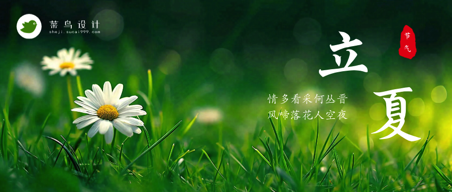 立夏公众号首图