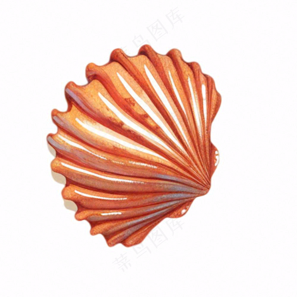 海洋扇贝贝壳卡通插画免抠