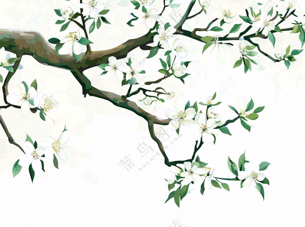 树上的白花春天植物绿叶插画免抠