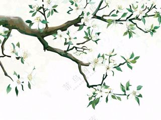 树上的白花春天植物绿叶插画免抠
