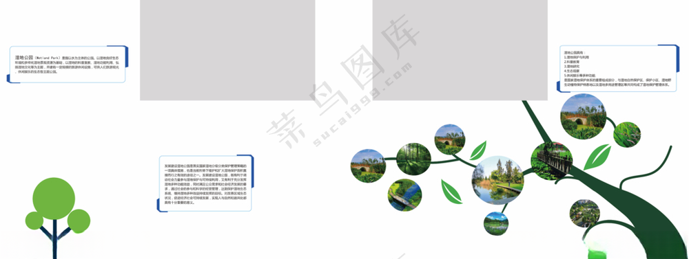 公园文化墙海洋生物公园文化墙