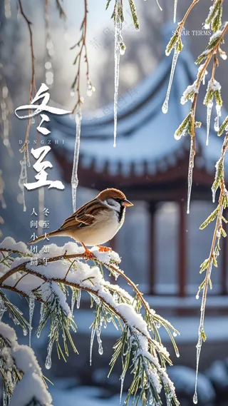 冬至大气节日唯美节气简约海报