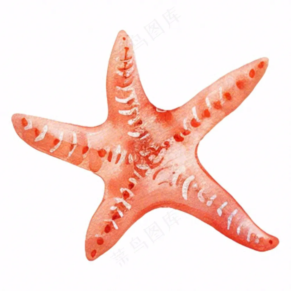 海星海洋生物卡通插画免抠