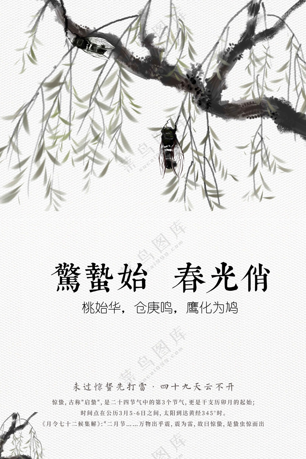 惊蛰节气传统活动海报