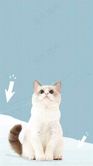 宠物常识宠物攻略猫狗卡通插画背景