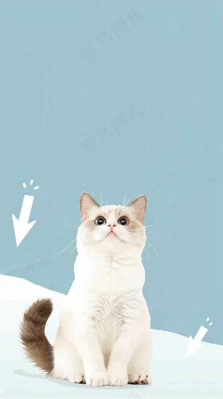 宠物常识宠物攻略猫狗卡通插画背景