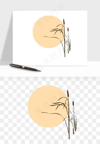 植物芦苇蒲苇香蒲png免抠