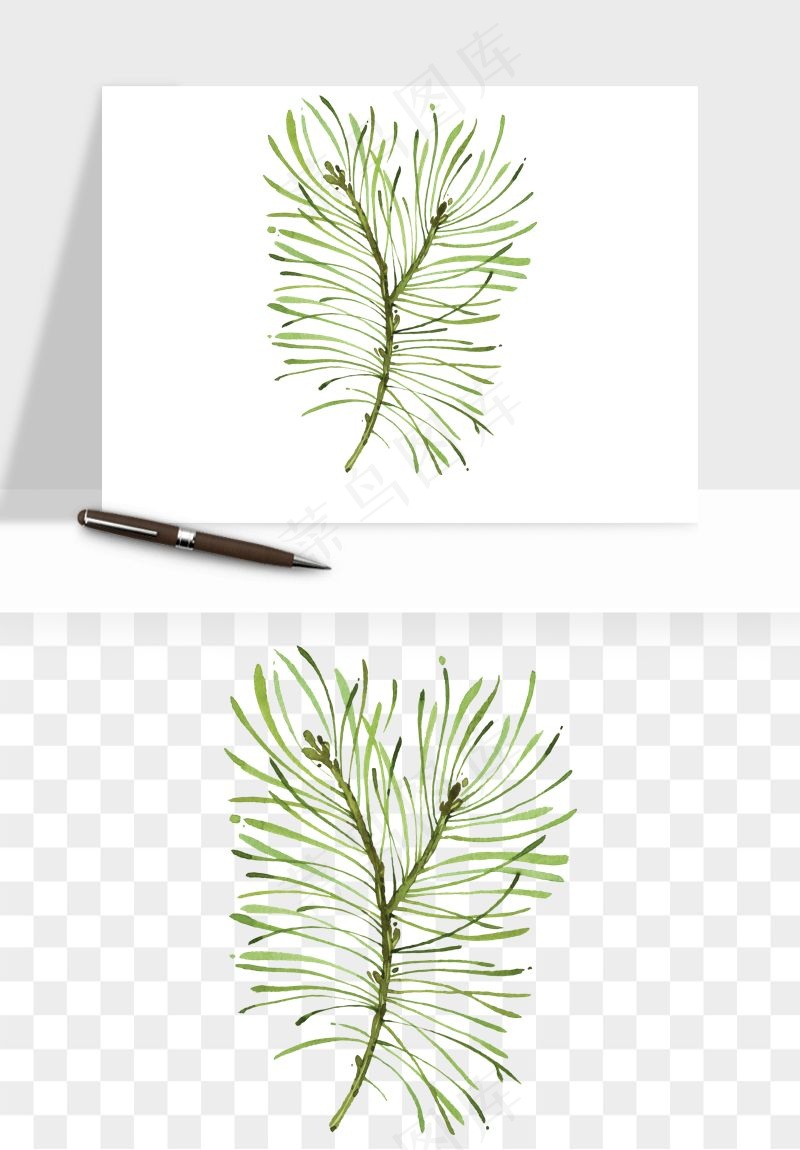 清新手绘植物png免抠