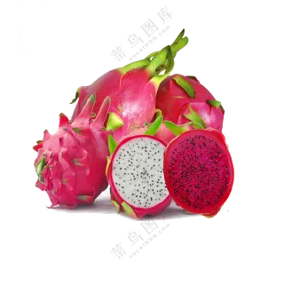 红白心两种火龙果主题免抠图片素材