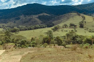 静谧山丘：复古棕绿田园风光