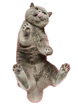 png免抠搞笑有趣动物