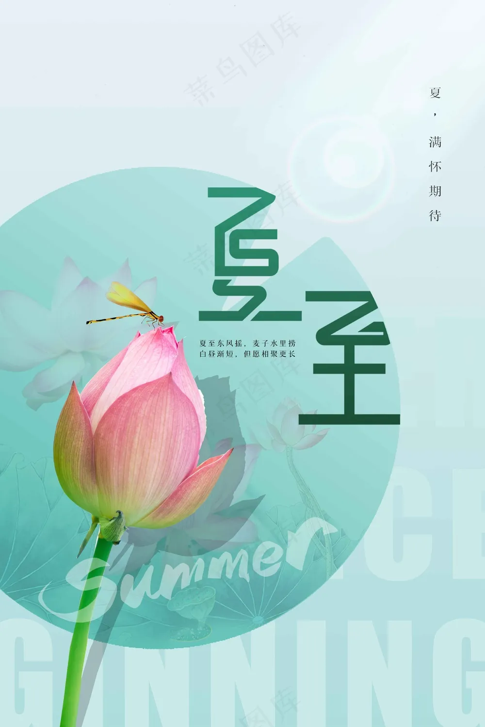 简约夏至节气海报