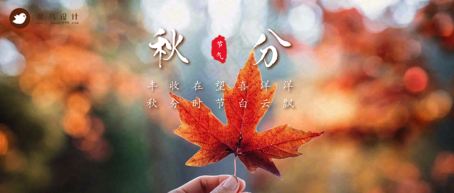 秋分公众号首图
