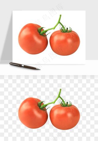 西红柿番茄圣女果png免抠