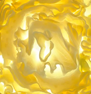 蔬菜切面图片 (1)