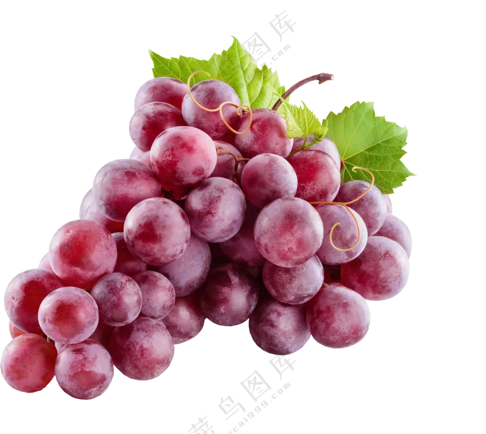 葡萄免抠元素