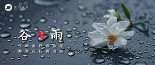谷雨公众号首图