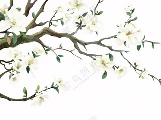树上的白花春天植物绿叶插画免抠