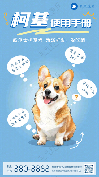 萌宠宠物柯基常识攻略手机海报
