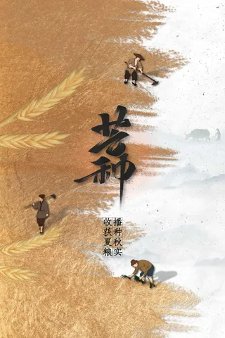 芒种节气传统海报