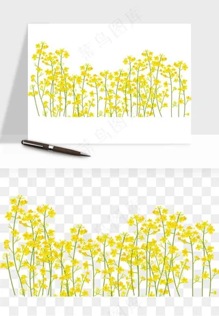 油菜花田png免抠