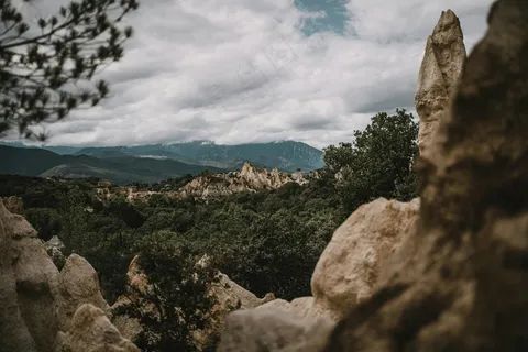 探秘灰岩：自然野趣的摄影之旅