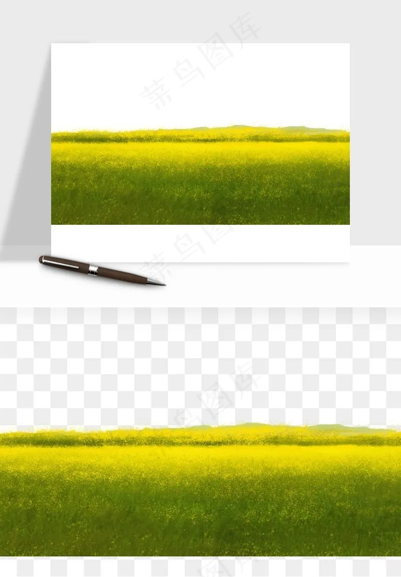 油菜花田png免抠