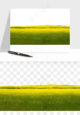 油菜花田png免抠