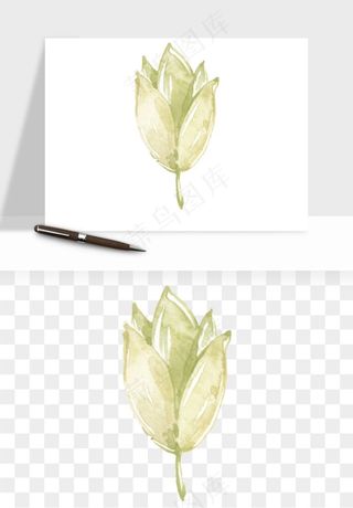 清新手绘植物png免抠