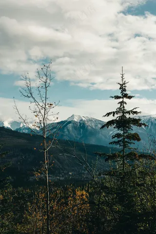 静谧山峦，秋意盎然的自然画卷