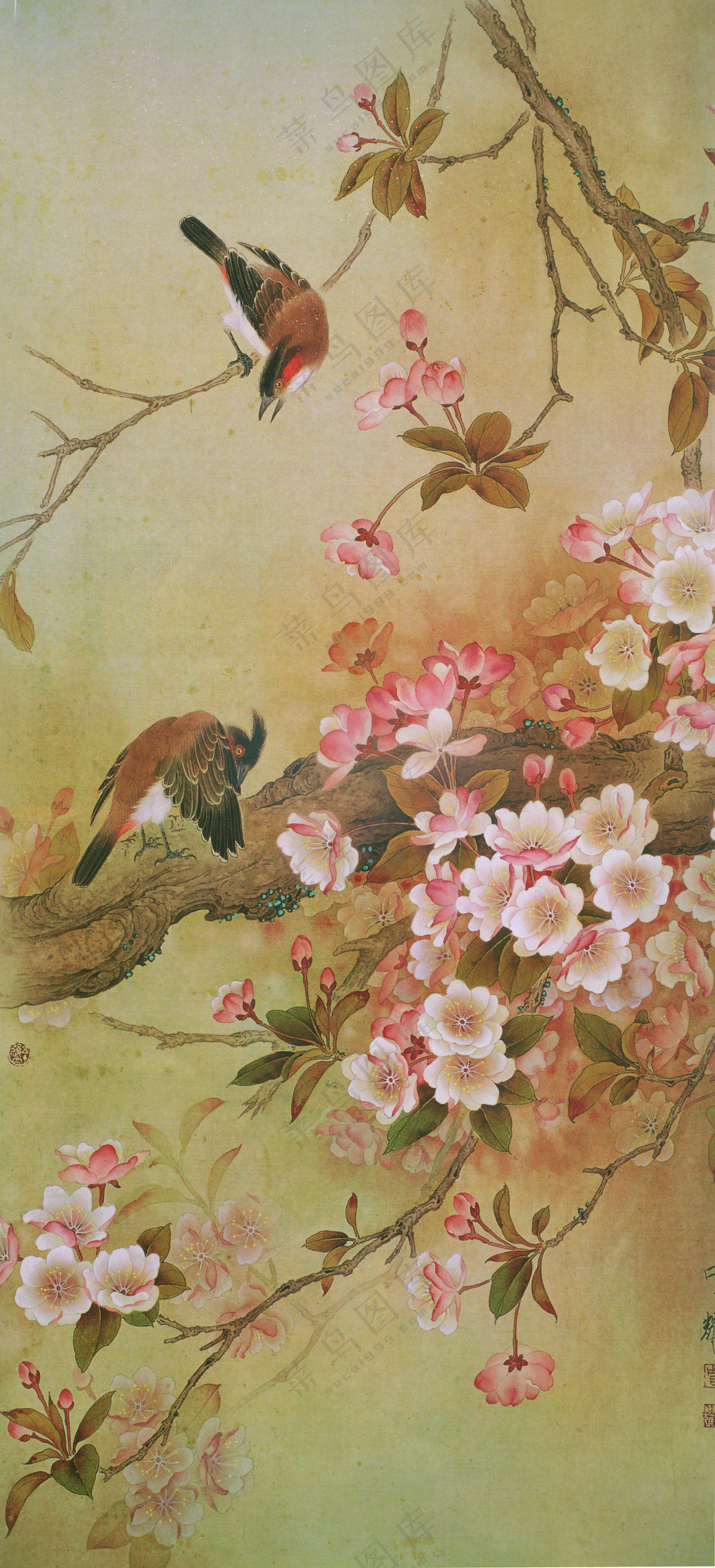 工笔画花鸟图片